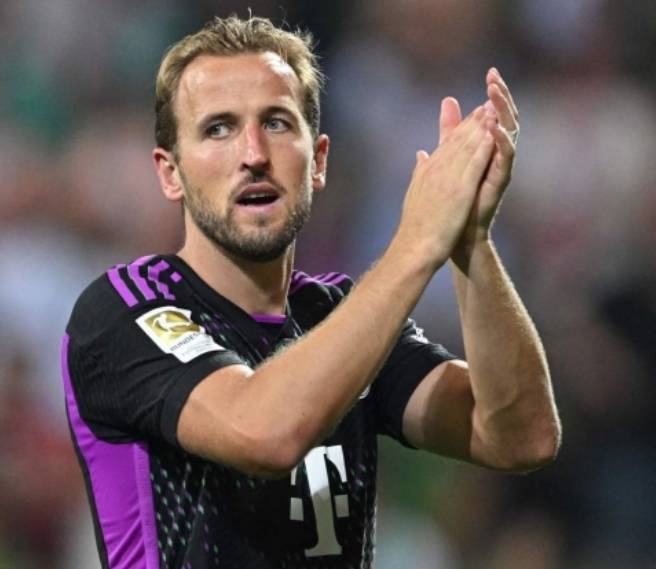 的青睐与支 的青睐与支